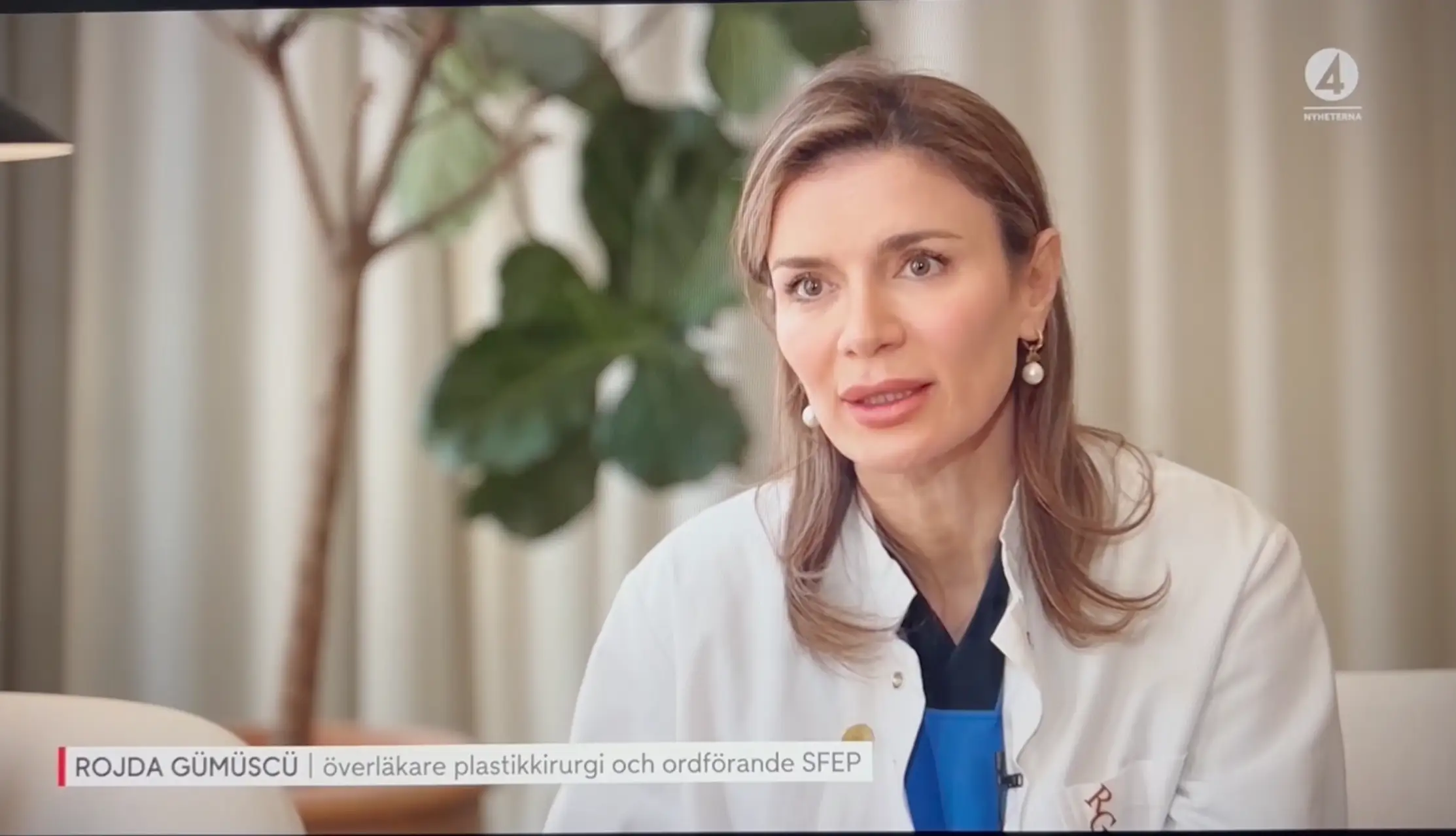 SFEP i TV4